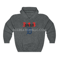 "Born 313" Hooded Sweatshirt.